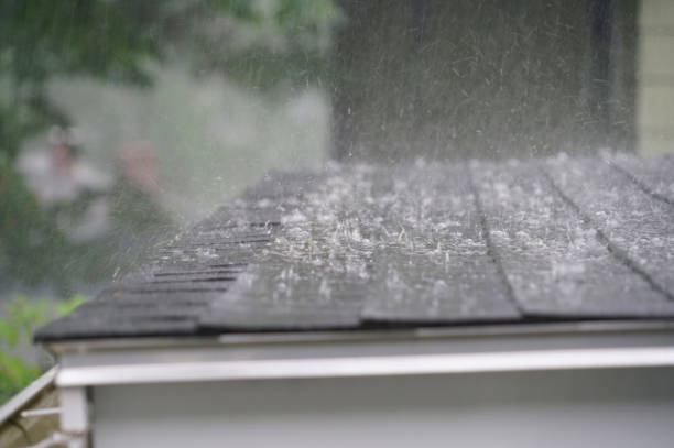 Best Rubber Roofing (EPDM, TPO)  in Colwyn, PA